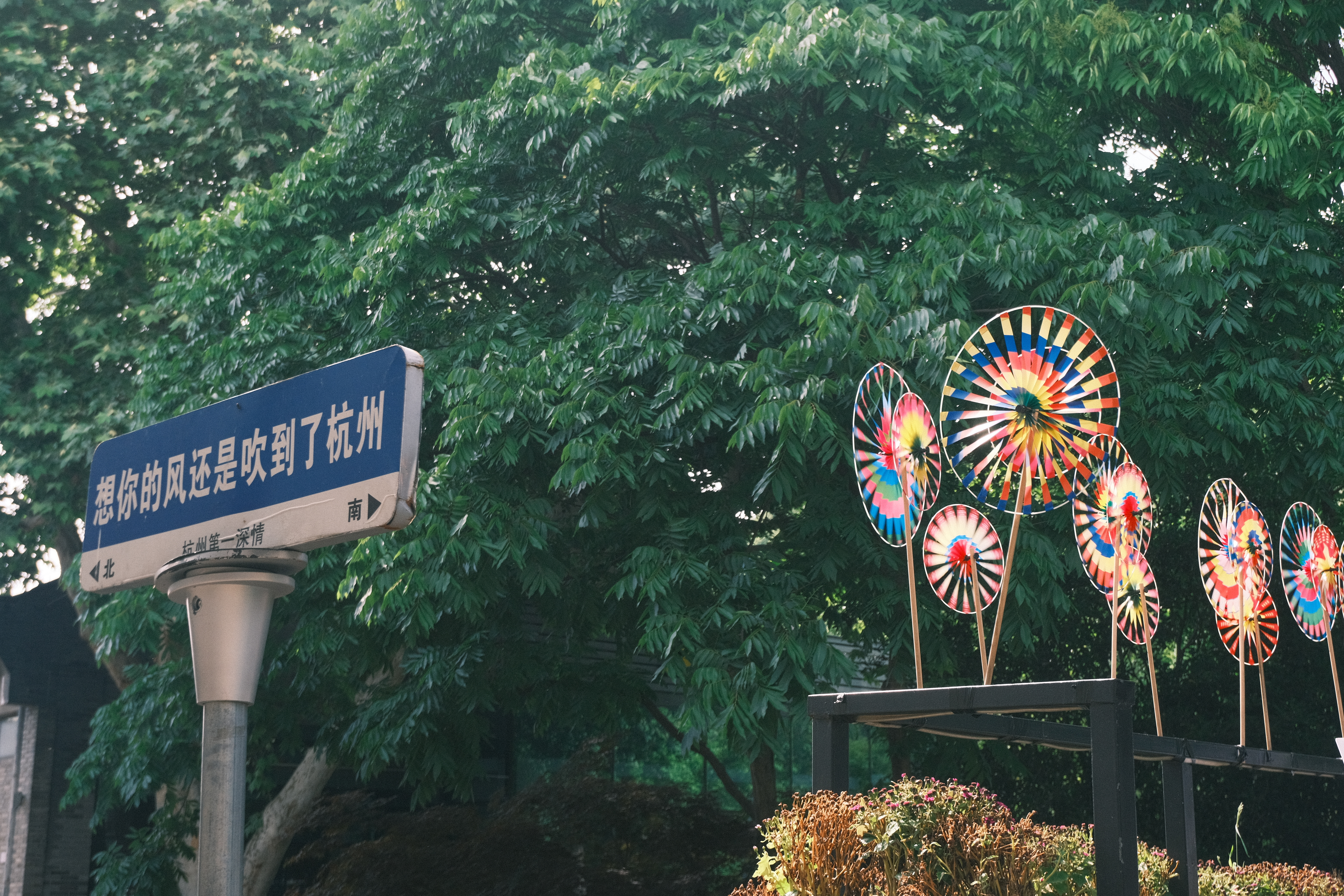 很土的路牌和风车