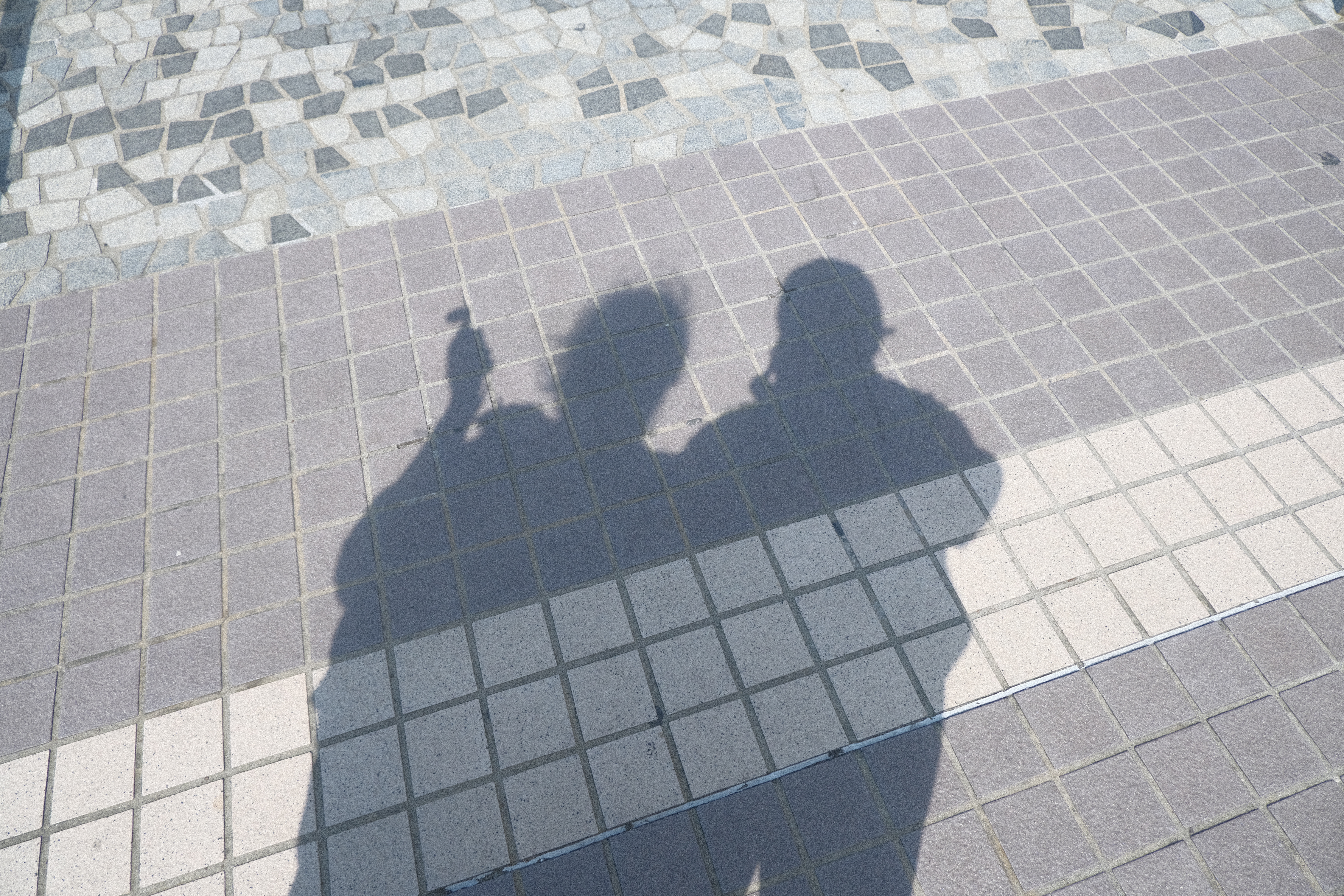 DSCF7658.JPG