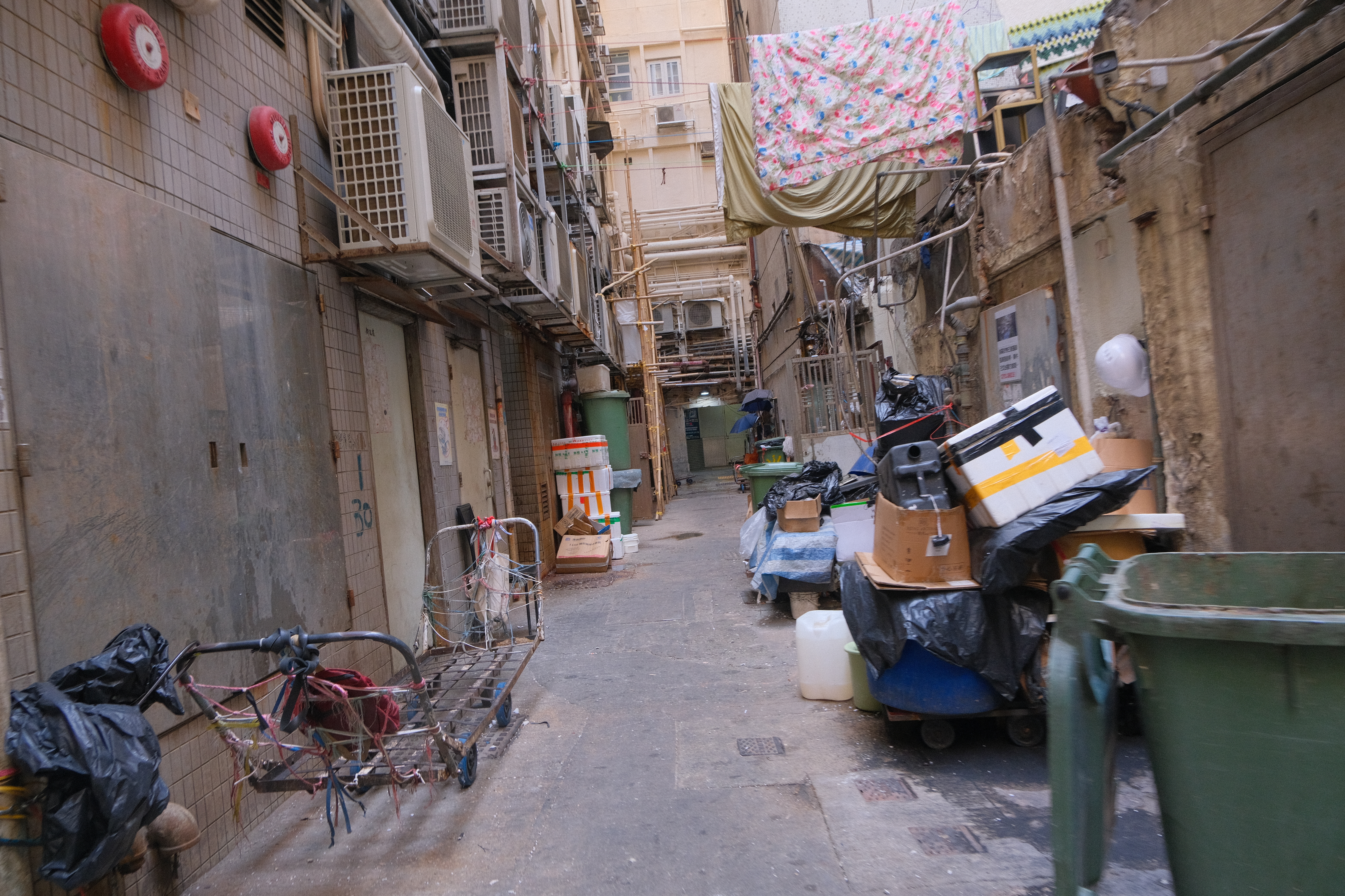 DSCF7882.JPG